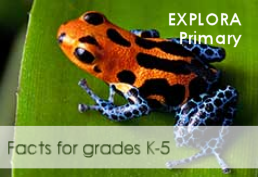 Explora Primary logo